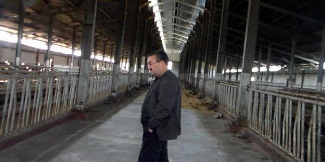 İcradan Satışa Çıkan İnekler Kaybolduğu Öne Sürüldü