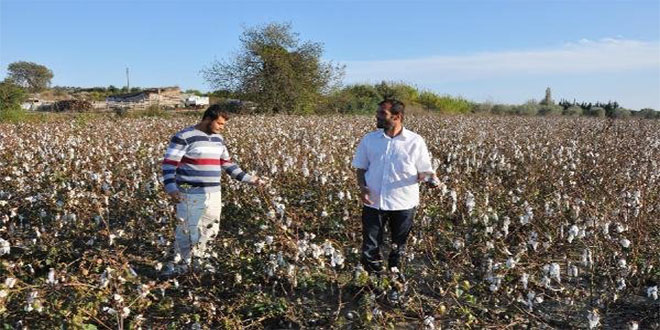 Manavgat ta 290 Çiftçi Sel Hasar Tespiti İçin Başvurdu
