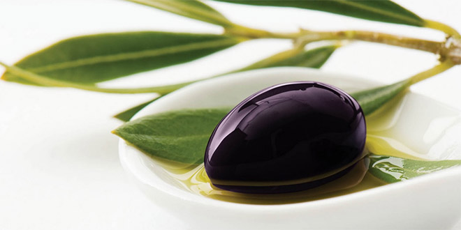 Ayvalık ta Zeytinyağı Hayat Bağı Paneli