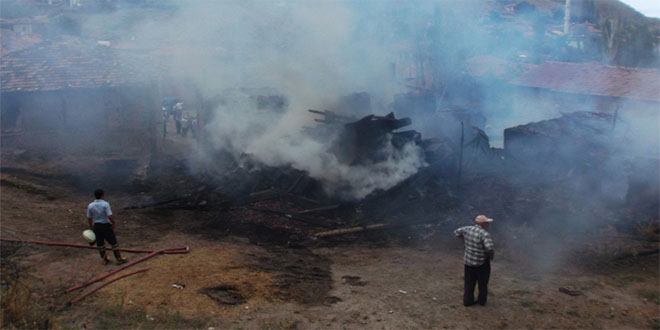 Bingöl de Yakılan Ahırda 62 Hayvan Telef Oldu