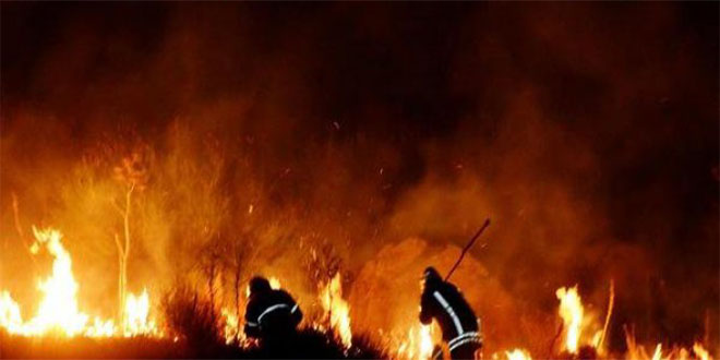 Çobanların Çıkardığı Yangında 14 Hektar Makilik Alan Zarar Gördü