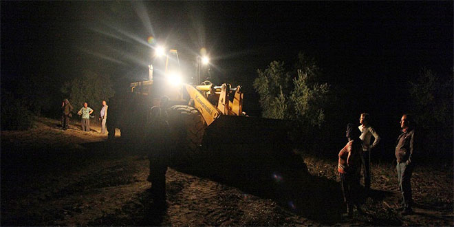 Soma da Zeytin Nöbeti