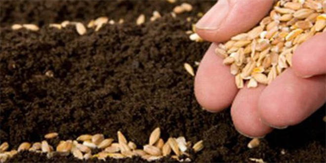 Araban da Sertifikalı Tohum Dağıtımı