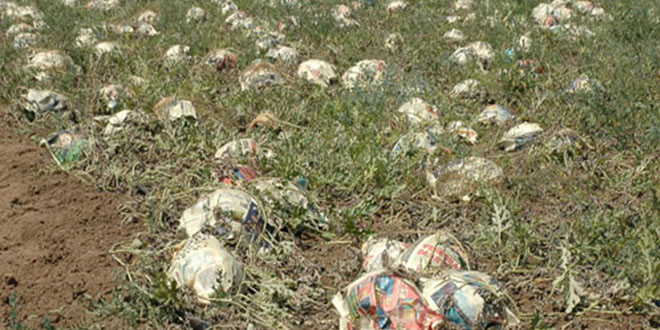 Su Taşkını 70 Ton Karpuzu Tarlada Vurdu