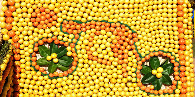 Uluslararası Mersin Narenciye Festivali Ne Doğru