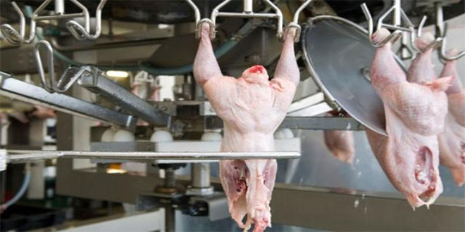 Kanatlı Eti Sektörünün 2025 İhracat Hedefi 2 6 Milyar Dolar