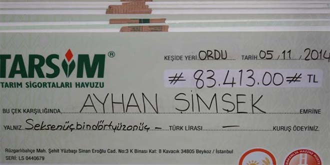 Tarsim Ordu da Hasar Ödedi