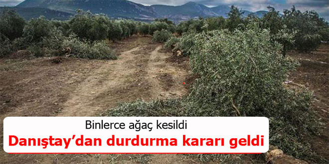 Danıştay dan termik santrale durdurma kararı