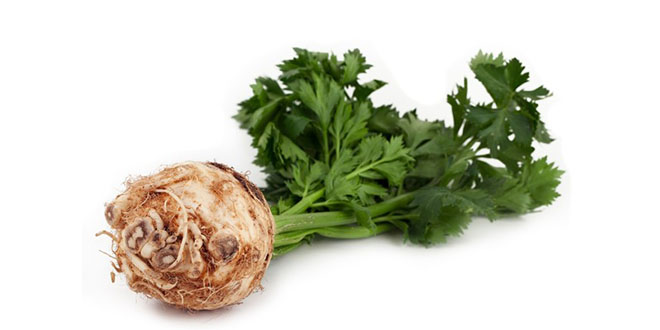 Tarlaların Beyaz Elması nın Sofraya Yolculuğu