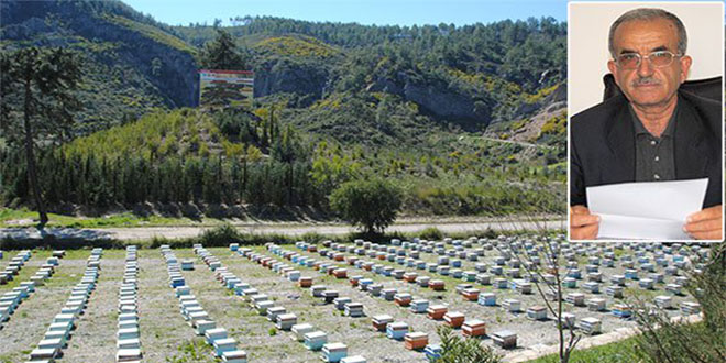 Manavgat ta 145 Arıcı Yaklaşık 92 Bin Lira Destekleme Aldı