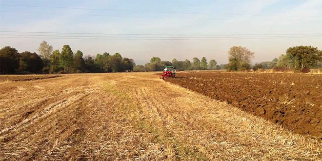 İstanbul un 8 Katı Alanın Nadasa Bırakılması Kabul Edilebilir Değil
