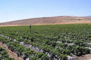 Kırsal Kalkınmada 8 Etap Tamamlandı