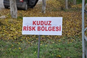 Pertek te Kuduz Karantinası