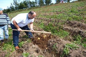 Ordu nun Tarlaları Temiz