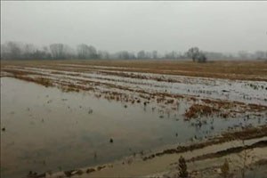 Sakarya da Sağanak Yağış