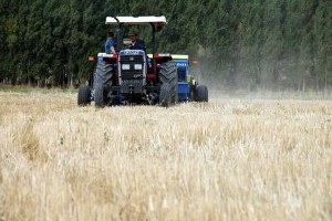 ÇKS Başvuruları 31 Aralık ta Sona Erecek