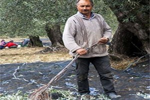 ÇKS Dosyaları Muhtarlara Teslim Edildi