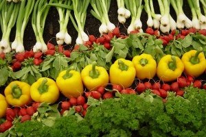 GAP Bölgesi nde Organik Tarım Desteklenecek