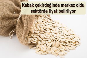 Kabak çekirdeğinin borsası Kayseri Tomarza oldu