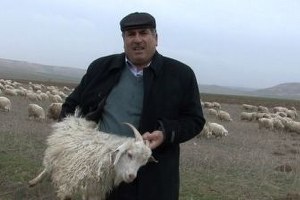 Hindi Dolmasına Alternatif Oğlak Dolması