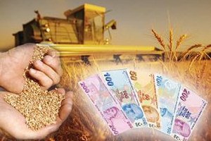 Ziraat Odasından Çiftçilere Uyarı