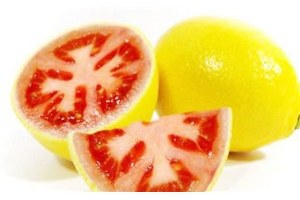 Edirne de Genetik Mühendisleri Yetişecek