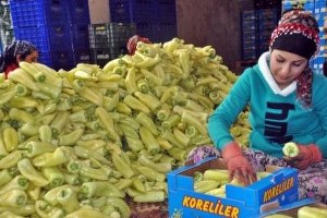 Rusya daki Devalüasyon Türkiye yi Vurdu