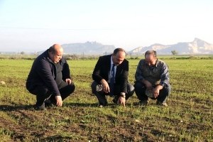 Ceyhan a Yapay Mera Tesisi