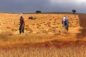 Erzurum da Tarım Konseyi Düzenlendi
