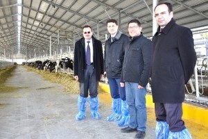 Kütahya nın En Büyük Et ve Süt Tesisi