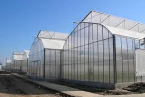 Hollanda nın Ankara Büyükelçisi Keller Seraları Gezdi