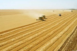 Ceylanpınar Ne İsrail e Nede Bir Başkasına Satıldı