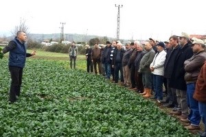Bafra da Tarla Günü Düzenlendi