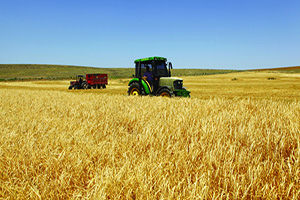 Destek Başvurusu 12 Ocakta Başlayacak