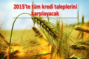 2015 te tüm kredi taleplerini karşılayacak