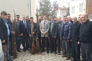 Söğüt İlçesinde Çiftçilere Ceviz Fidanı Dağıtıldı