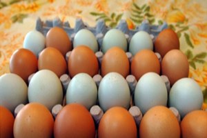 Yumurta İçin Yeni Standartlar