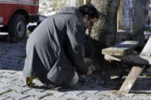 Çanakkale de Kuduz Karantinası