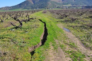 Tarladaki Çatlaklar Köylüleri Korkutuyor