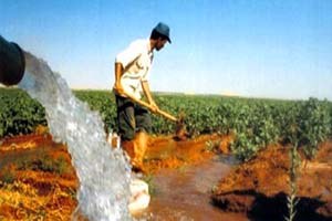 ÇKS Başvurusu 31 Aralık ta Sona Eriyor