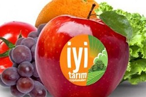 Siirt te Bir Çiftçiye İyi Tarım Sertifikası Verildi