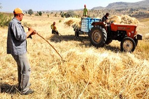 Yerköy Ziraat Odası Başkanından Çiftçilere Uyarı