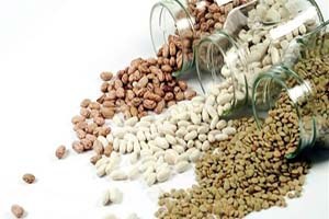 Kilogram Başına Verdiğimiz Primi Yüzde Yüz Artırıyoruz