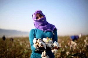 GAP Çiftçisi İkinci Ürünü Sevdi