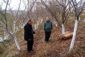 Batmanda Doğa Katliamı Yaşanacak