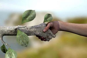 Bitki Koruma Ürünleri Hakkında Yönetmelik