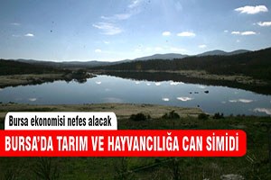 Bursa da tarım ve hayvancılığa can simidi