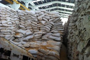 GDO lu Mısırlar Yem Olarak İç Piyasaya