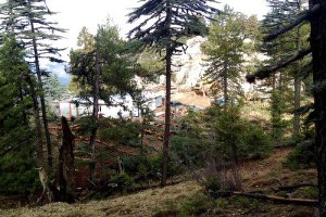 800 Yıllık Sedirler ve Şakayık Mermer Kurbanı