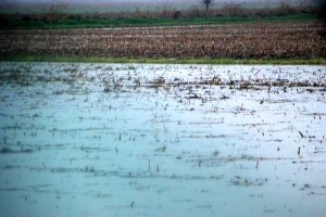 Menderes Nehri Taşma Sınırında